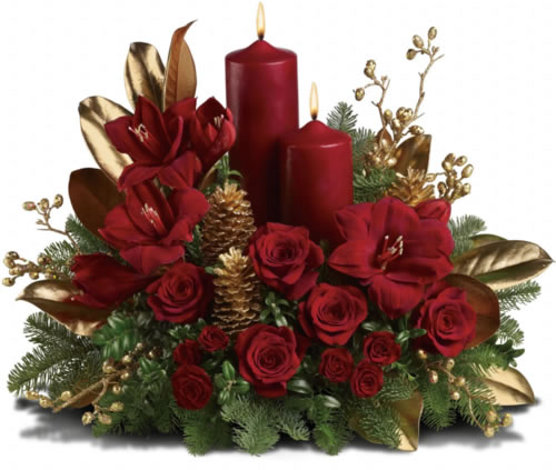 Red Candle Roses - New Port Richey Florist