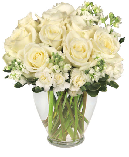 New port richey florist funeral flowers birthday flowers wedding flowers