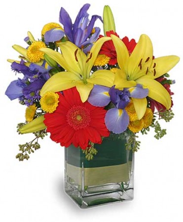 Mother’s Day flowers New port richey florist birthday flowers funeral flowers