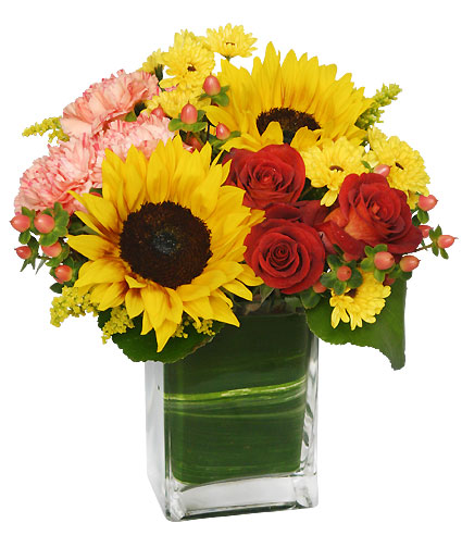 New port richey florist Labor Day flowers birthday flowers funeral flowers