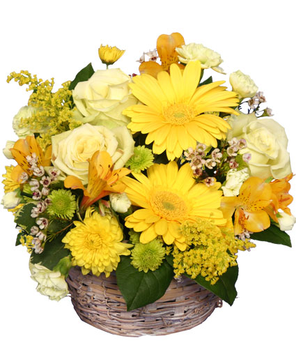 New port richey florist  funeral flowers birthday flowers 6 Flowers for summer