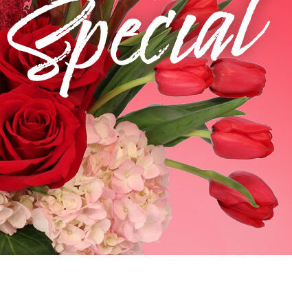 New port richey florist Valentines day flowers Birthday flowers funeral flowers roses for Valentine’s Day