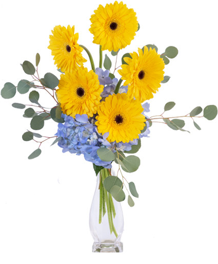 new port richey florist funeral flowers birthday flowers fall flowers