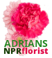 Adrian's New Port Richey Florist