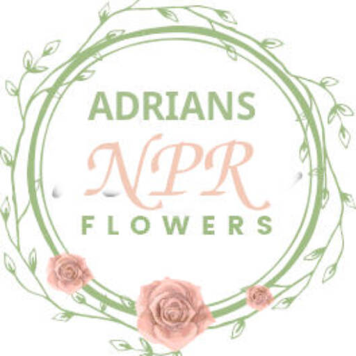 cropped-adrians-npr-logo